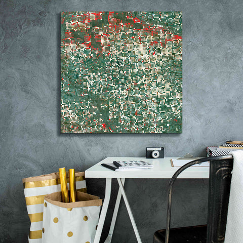 Image of 'Earth as Art: Garden City' Canvas Wall Art,26 x 26