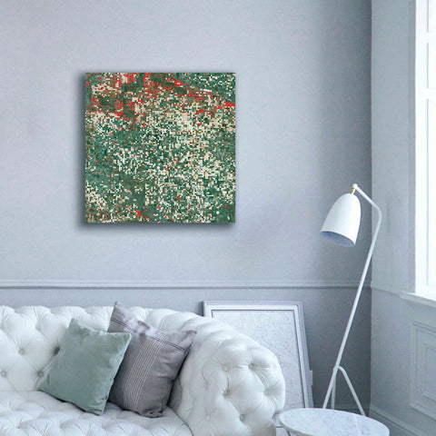Image of 'Earth as Art: Garden City' Canvas Wall Art,37 x 37