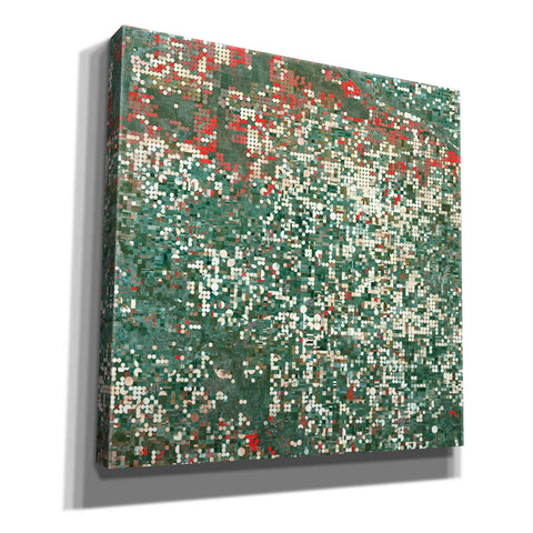 Image of 'Earth as Art: Garden City' Canvas Wall Art
