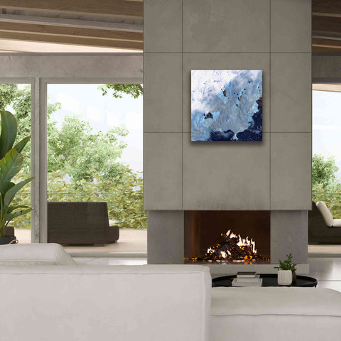 Image of 'Earth as Art: Greenland Coast' Canvas Wall Art,26 x 26