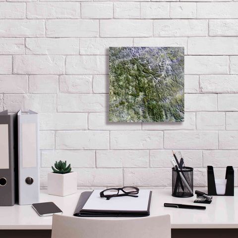 Image of 'Earth as Art: Namaqualand ' Canvas Wall Art,12 x 12