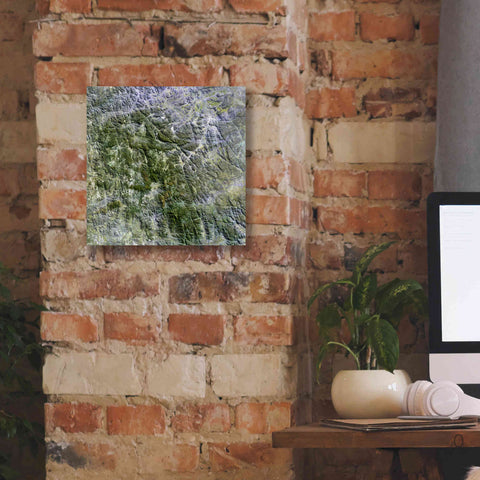 Image of 'Earth as Art: Namaqualand ' Canvas Wall Art,12 x 12