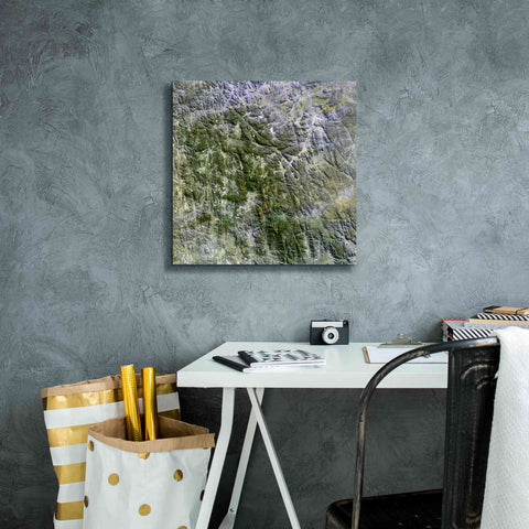 Image of 'Earth as Art: Namaqualand ' Canvas Wall Art,18 x 18