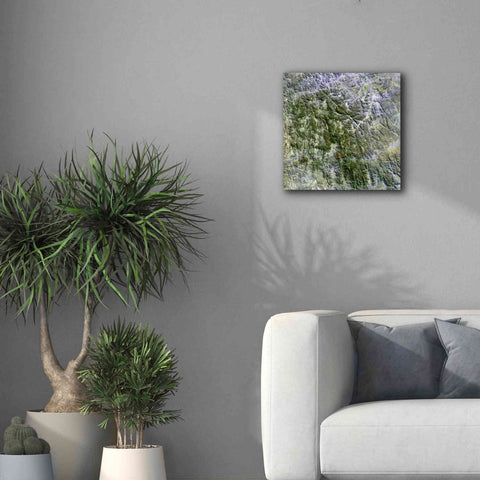 Image of 'Earth as Art: Namaqualand ' Canvas Wall Art,18 x 18