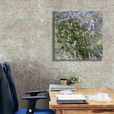 Image of 'Earth as Art: Namaqualand ' Canvas Wall Art,26 x 26