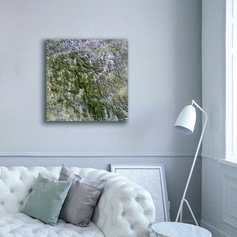 Image of 'Earth as Art: Namaqualand ' Canvas Wall Art,37 x 37