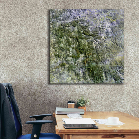 Image of 'Earth as Art: Namaqualand ' Canvas Wall Art,37 x 37