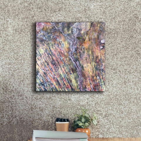 Image of 'Earth as Art: The Optimist' Canvas Wall Art,18 x 18