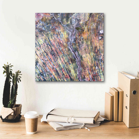 Image of 'Earth as Art: The Optimist' Canvas Wall Art,18 x 18
