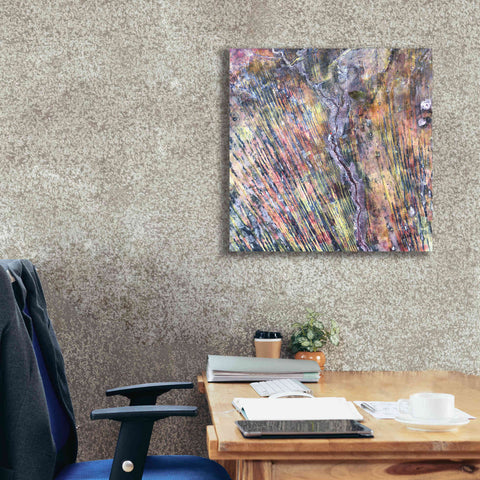 Image of 'Earth as Art: The Optimist' Canvas Wall Art,26 x 26