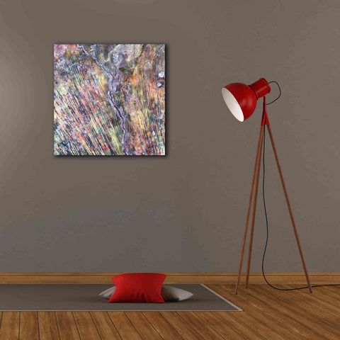 Image of 'Earth as Art: The Optimist' Canvas Wall Art,26 x 26