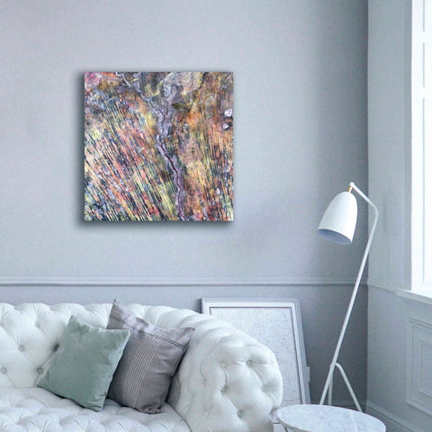 Image of 'Earth as Art: The Optimist' Canvas Wall Art,37 x 37