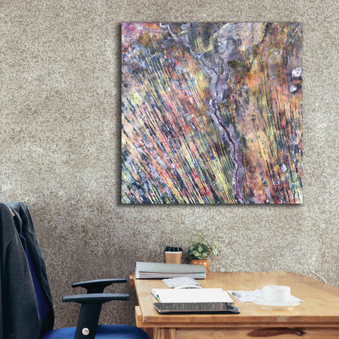 Image of 'Earth as Art: The Optimist' Canvas Wall Art,37 x 37