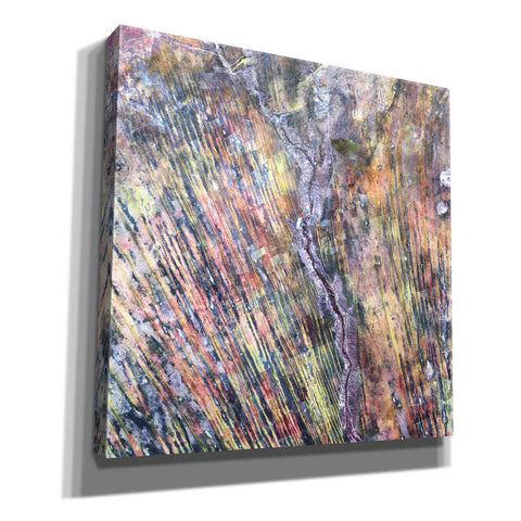 Image of 'Earth as Art: The Optimist' Canvas Wall Art