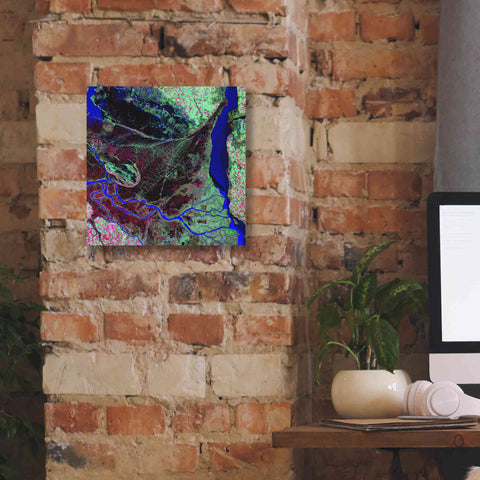 Image of 'Earth as Art: Parana River Delta' Canvas Wall Art,12 x 12