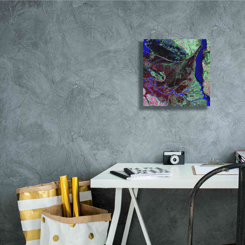 Image of 'Earth as Art: Parana River Delta' Canvas Wall Art,12 x 12
