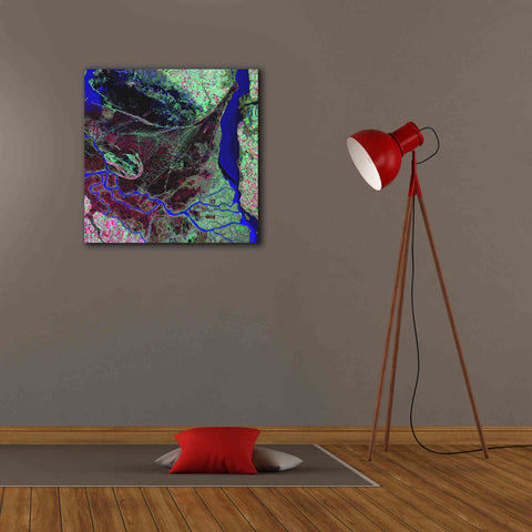 Image of 'Earth as Art: Parana River Delta' Canvas Wall Art,26 x 26