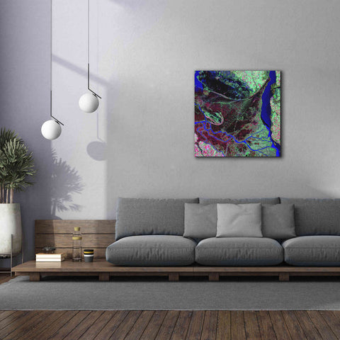 Image of 'Earth as Art: Parana River Delta' Canvas Wall Art,37 x 37