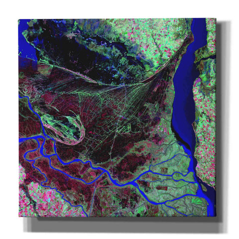 Image of 'Earth as Art: Parana River Delta' Canvas Wall Art