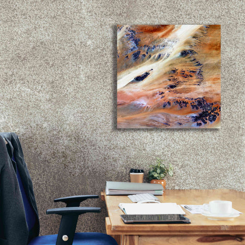 Image of 'Earth as Art: Terkezi Oasis' Canvas Wall Art,26 x 26