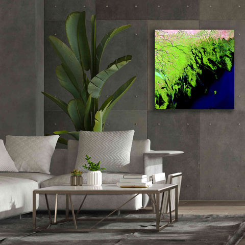 Image of 'Earth as Art: Volga River Delta' Canvas Wall Art,37 x 37