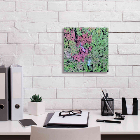 Image of 'Earth as Art: Yellowknife Wetlands' Canvas Wall Art,12 x 12