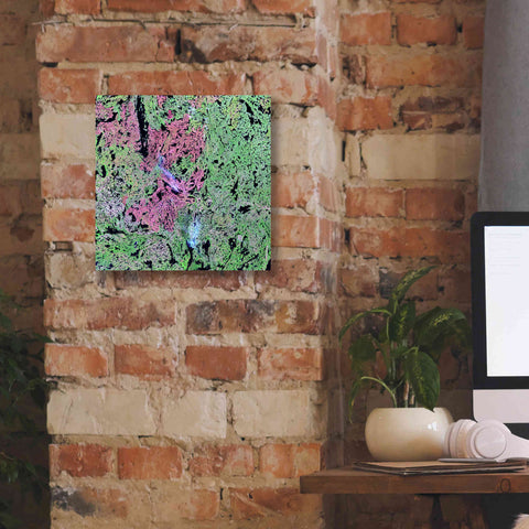 Image of 'Earth as Art: Yellowknife Wetlands' Canvas Wall Art,12 x 12