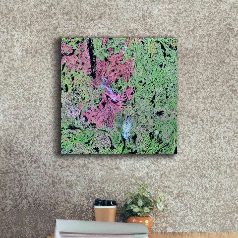 Image of 'Earth as Art: Yellowknife Wetlands' Canvas Wall Art,18 x 18