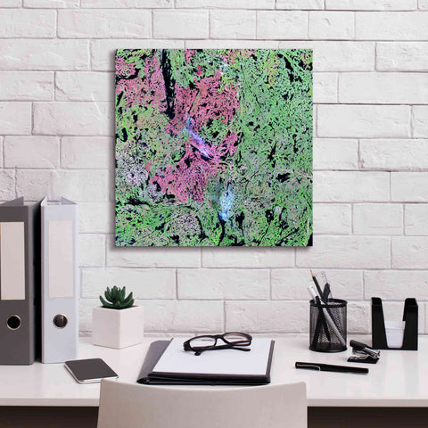 Image of 'Earth as Art: Yellowknife Wetlands' Canvas Wall Art,18 x 18