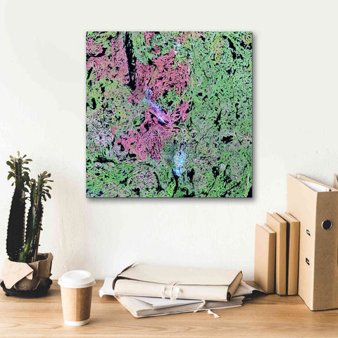 Image of 'Earth as Art: Yellowknife Wetlands' Canvas Wall Art,18 x 18