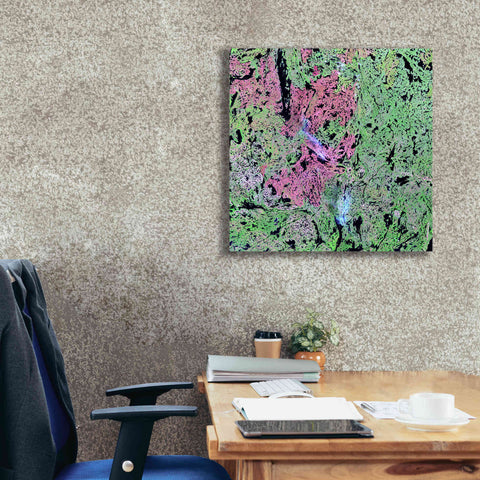 Image of 'Earth as Art: Yellowknife Wetlands' Canvas Wall Art,26 x 26