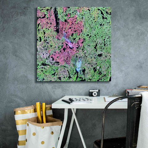Image of 'Earth as Art: Yellowknife Wetlands' Canvas Wall Art,26 x 26