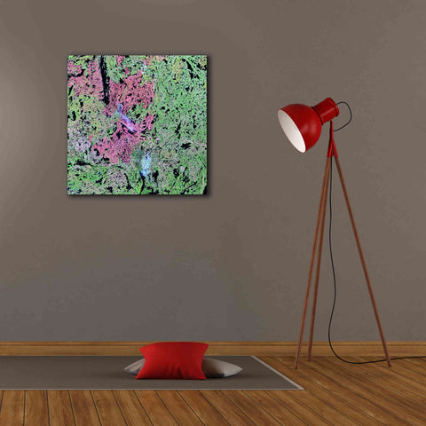 Image of 'Earth as Art: Yellowknife Wetlands' Canvas Wall Art,26 x 26