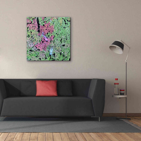 Image of 'Earth as Art: Yellowknife Wetlands' Canvas Wall Art,37 x 37