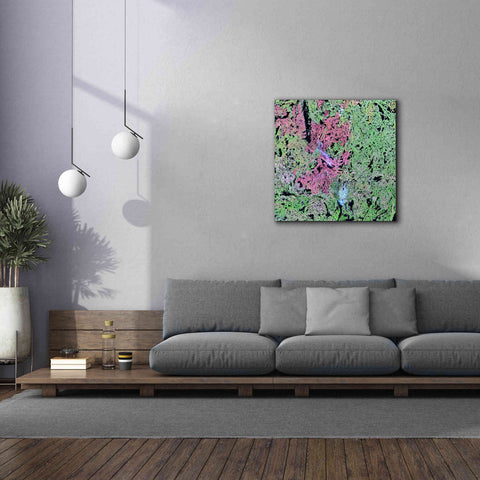 Image of 'Earth as Art: Yellowknife Wetlands' Canvas Wall Art,37 x 37