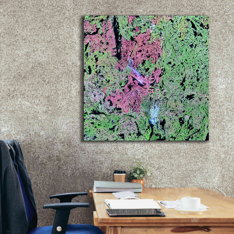 Image of 'Earth as Art: Yellowknife Wetlands' Canvas Wall Art,37 x 37
