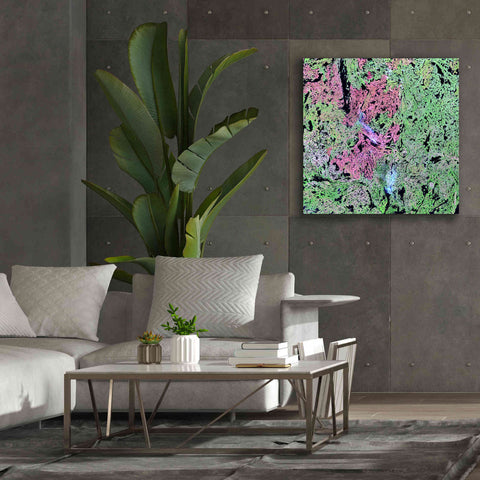 Image of 'Earth as Art: Yellowknife Wetlands' Canvas Wall Art,37 x 37