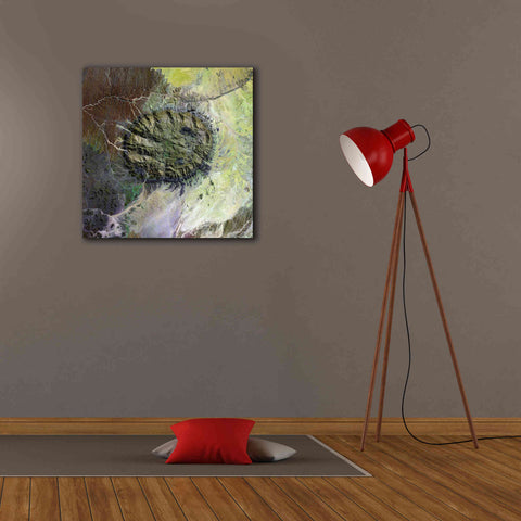 Image of 'Earth as Art: Brandberg Massif' Canvas Wall Art,26 x 26
