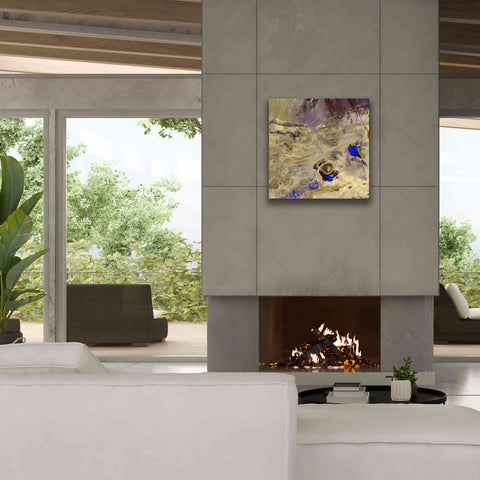 Image of 'Earth as Art: Great Salt Desert' Canvas Wall Art,26 x 26
