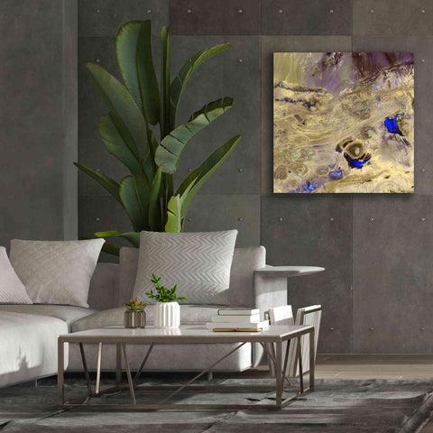 Image of 'Earth as Art: Great Salt Desert' Canvas Wall Art,37 x 37