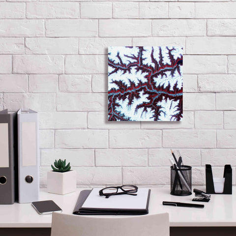 Image of 'Earth as Art: Himalayas ' Canvas Wall Art,12 x 12