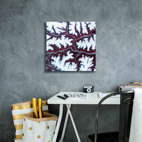 Image of 'Earth as Art: Himalayas ' Canvas Wall Art,18 x 18