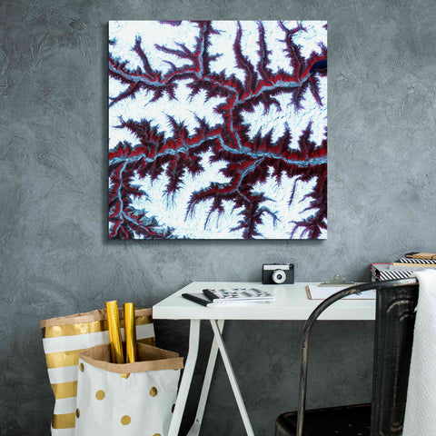 Image of 'Earth as Art: Himalayas ' Canvas Wall Art,26 x 26