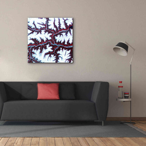 Image of 'Earth as Art: Himalayas ' Canvas Wall Art,37 x 37