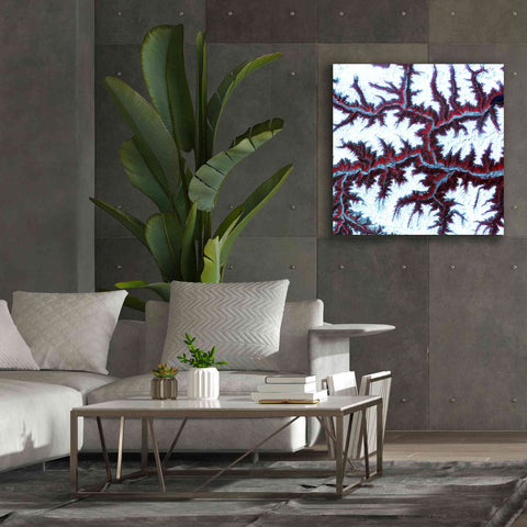 Image of 'Earth as Art: Himalayas ' Canvas Wall Art,37 x 37