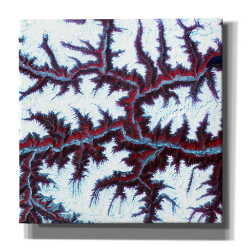 Image of 'Earth as Art: Himalayas ' Canvas Wall Art