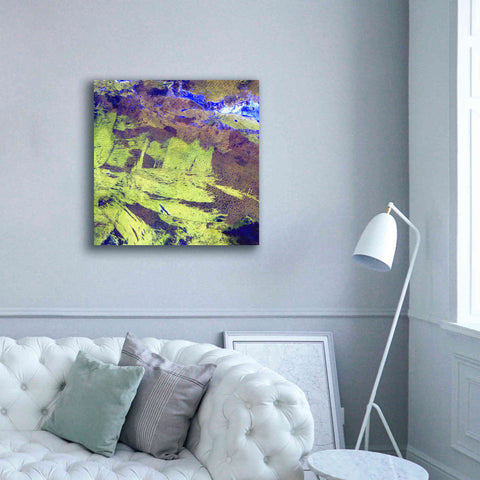 Image of 'Earth as Art: Lake Amadeus' Canvas Wall Art,37 x 37