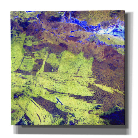 Image of 'Earth as Art: Lake Amadeus' Canvas Wall Art
