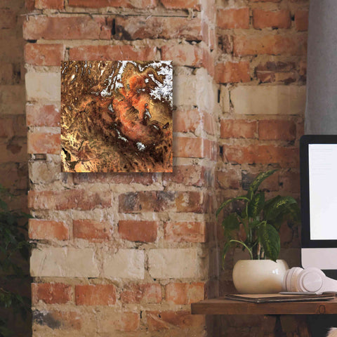 Image of 'Earth as Art: North America' Canvas Wall Art,12 x 12