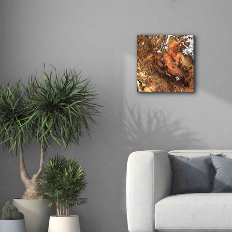 Image of 'Earth as Art: North America' Canvas Wall Art,18 x 18